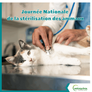 Journée nationale de la stérilisation des aanimaux