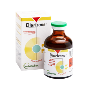 DIURIZONE Solution injectable